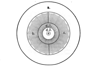 Action diagram